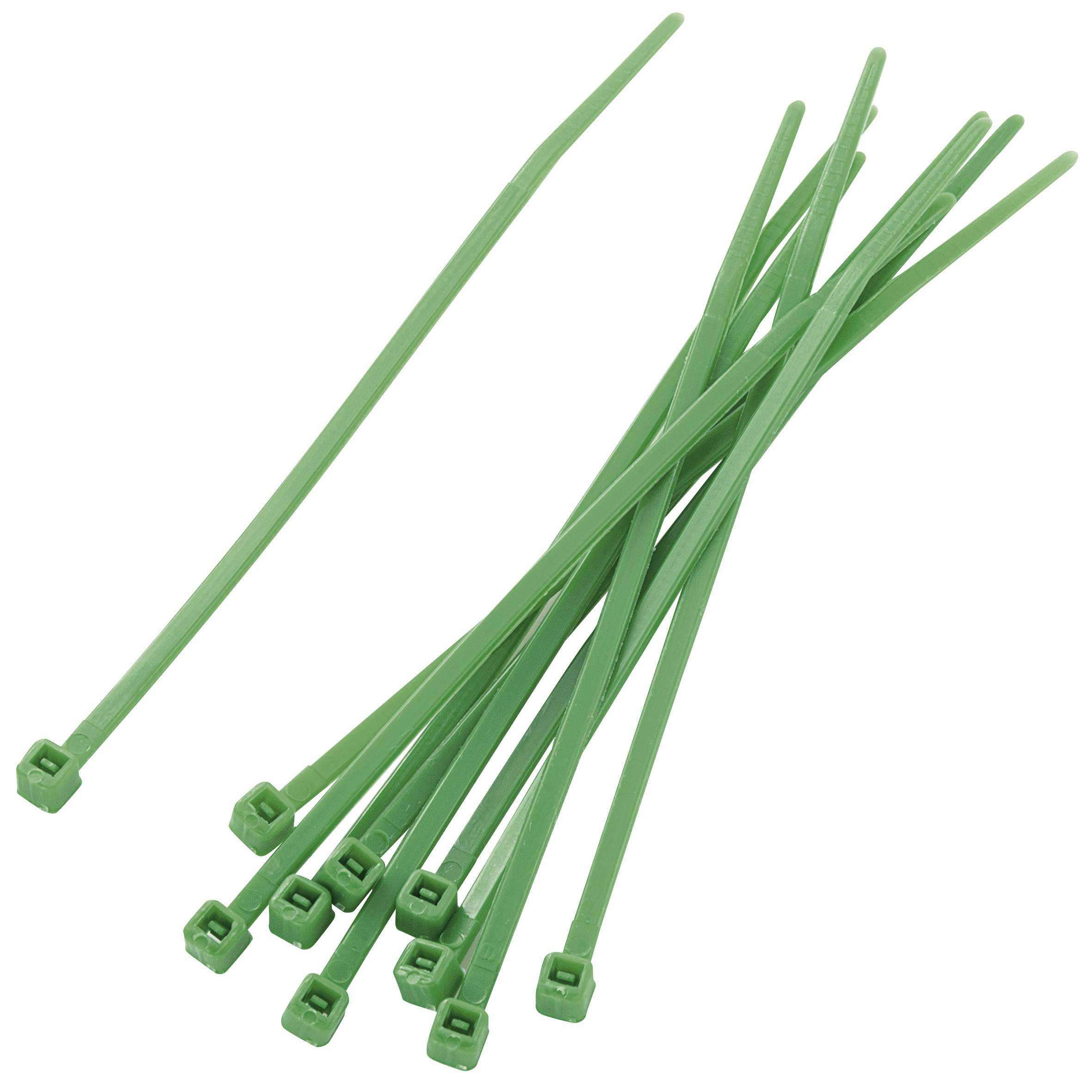 Asortiman kablovskih vezica 100 mm zelene Tru Components 1592779 TC-PBR-100-4GN203