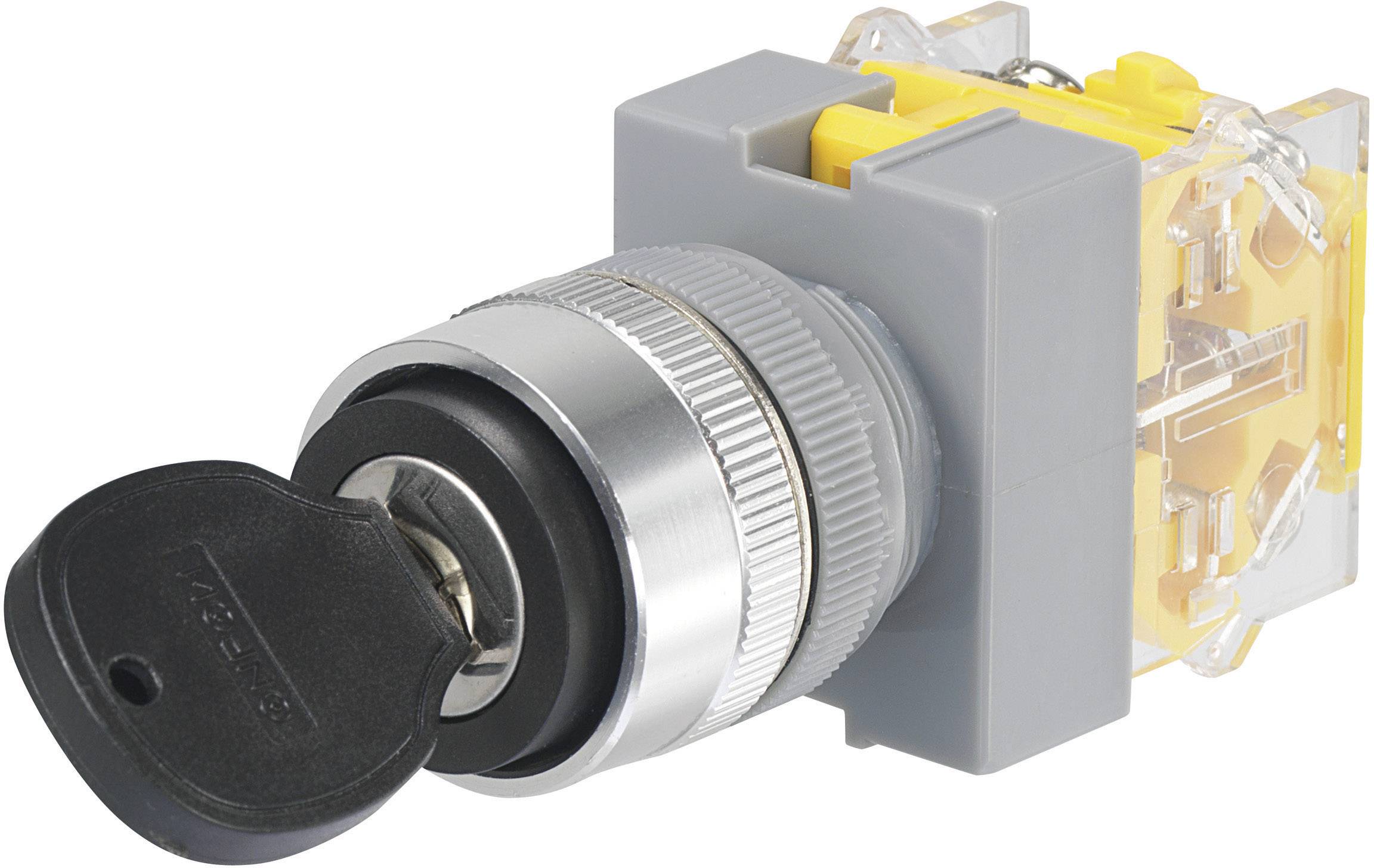 Tru Components I090-A-20I/31 prekidac sa kljucem 250 V/AC 5 A 1 * uklj./iskljuceno/ukljuceno 2 * 45 IP40