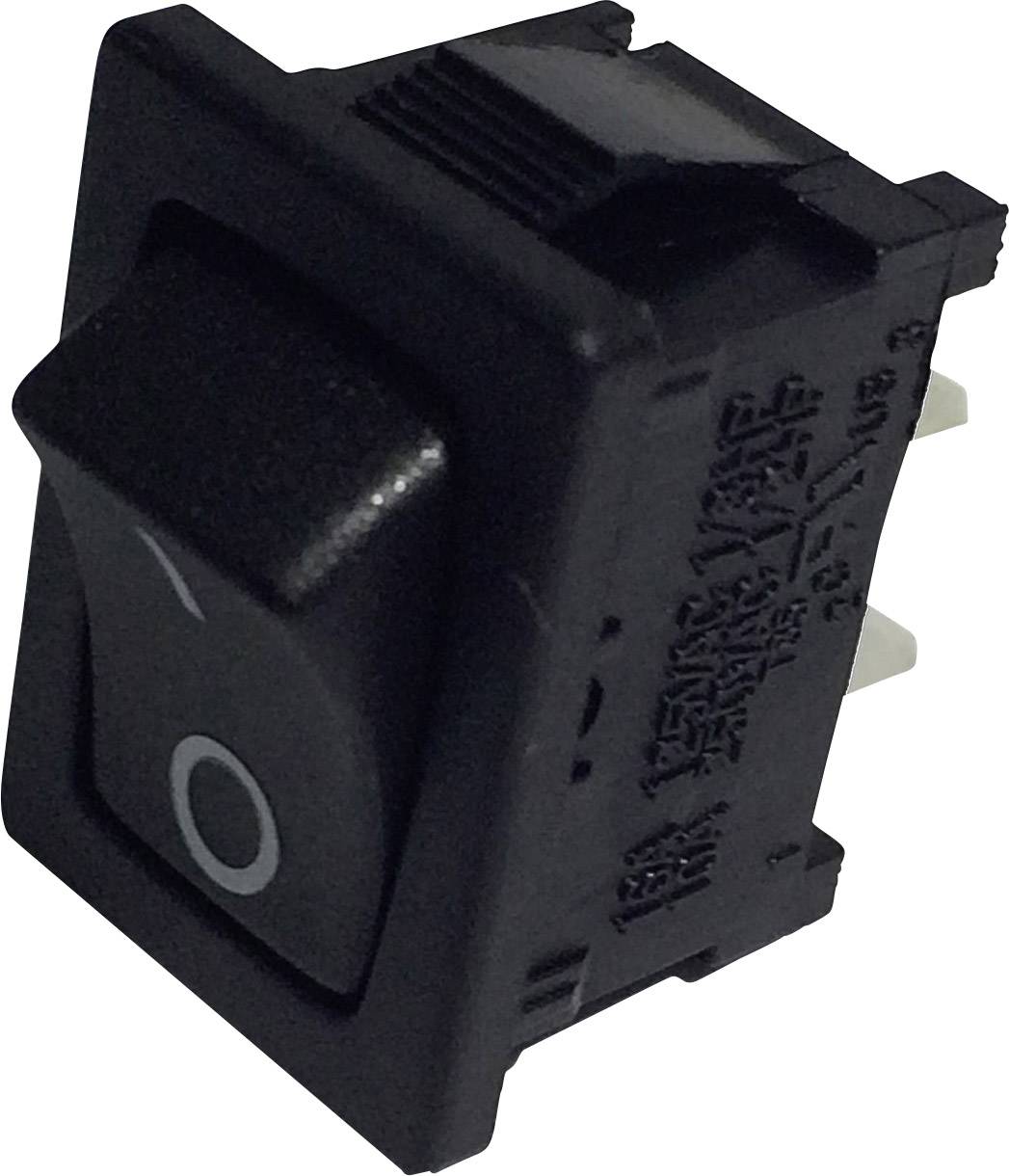 Wipp prekidaci 250 V/AC 6 A 1 * iskljuceno/ukljuceno Tru Components TC-R13-66A-02 sa zasunom