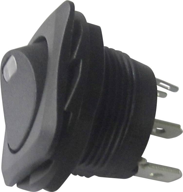 Wipp prekidaci 250 V/AC 10 A 1 * iskljuceno/ukljuceno Tru Components TC-R13-135L-02 sa zakljucavanjem