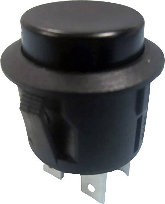 Tru Components TC-R13-527B-02BK Taster prekidac 250 V/AC 6 A 2 * uklj./isklj. zakljucavanje