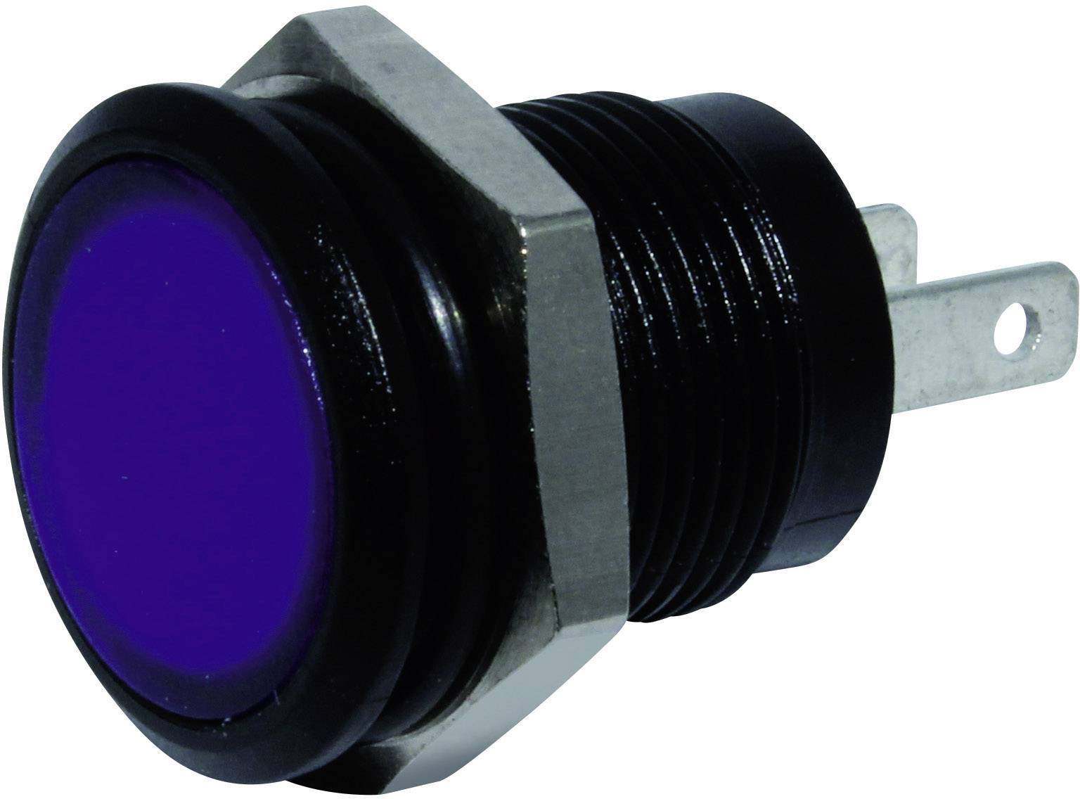 Signal Construct SKED12414 LED usmerena plava boja    24 V/DC    250 mcd