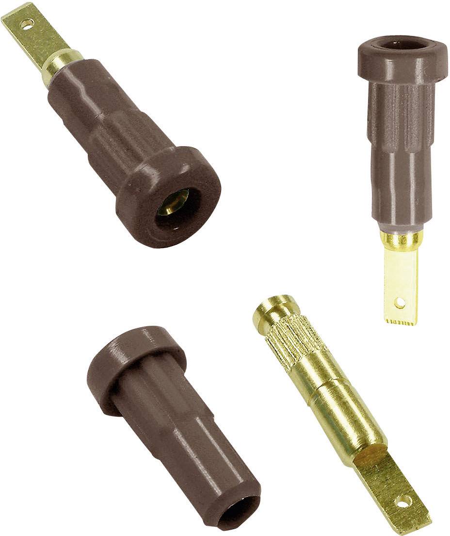 Staubli EB2 laboratorijski zenski konektor zenski konektor, vertikalna ugradnja Pin-fi: 2 mm smedja boja