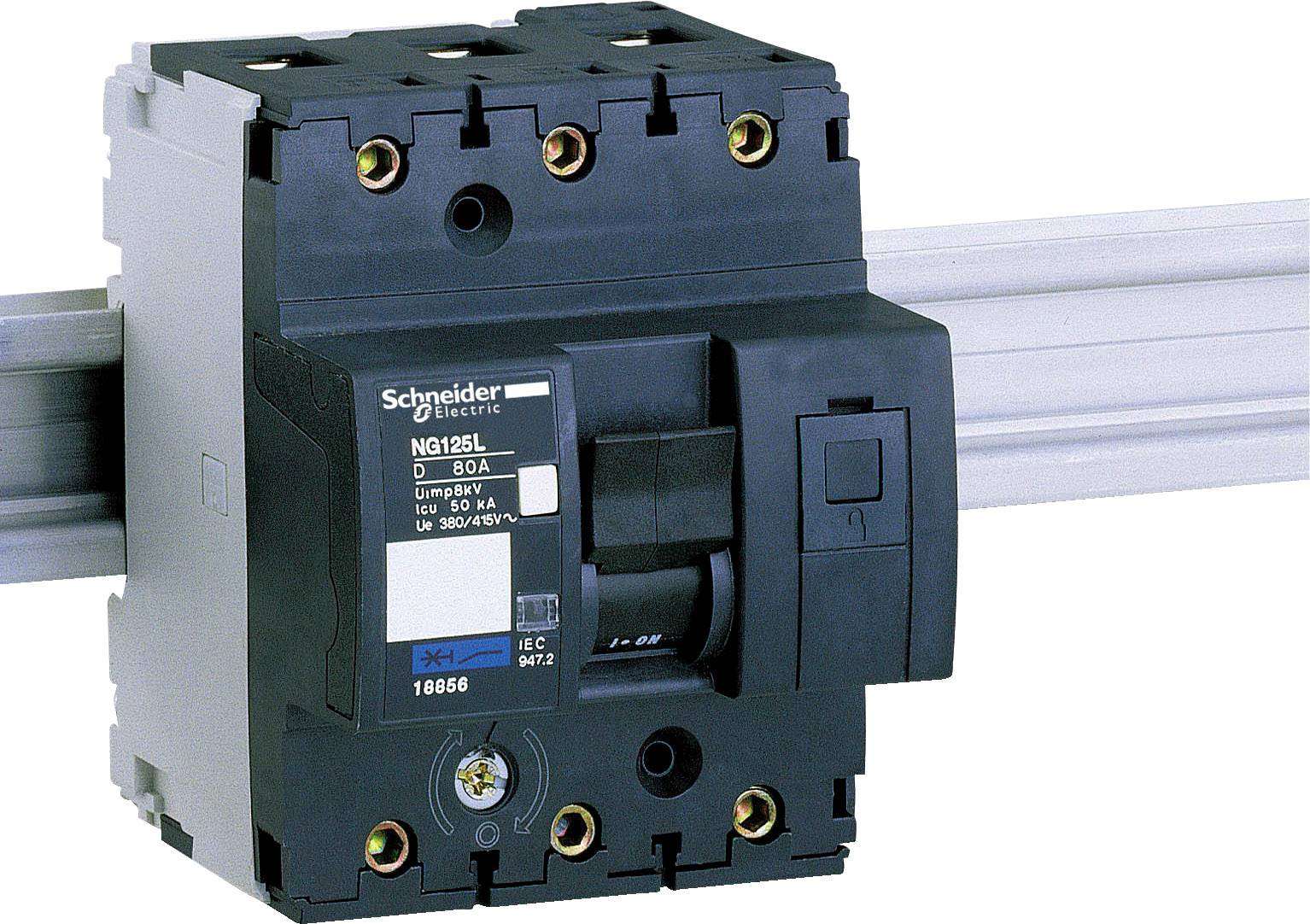 Schneider Electric 18856 automatski osigurac 80 A 240 V 100 kA