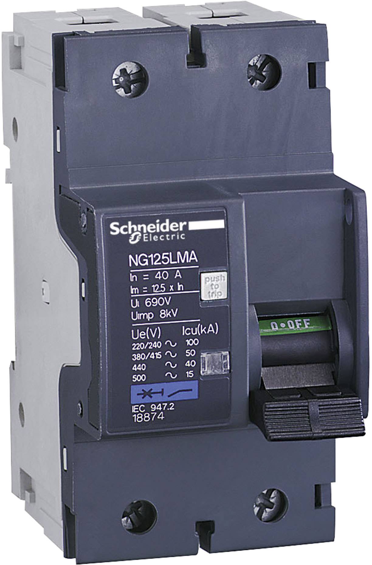 Schneider Electric 18876 automatski osigurac 2-polni 80 A