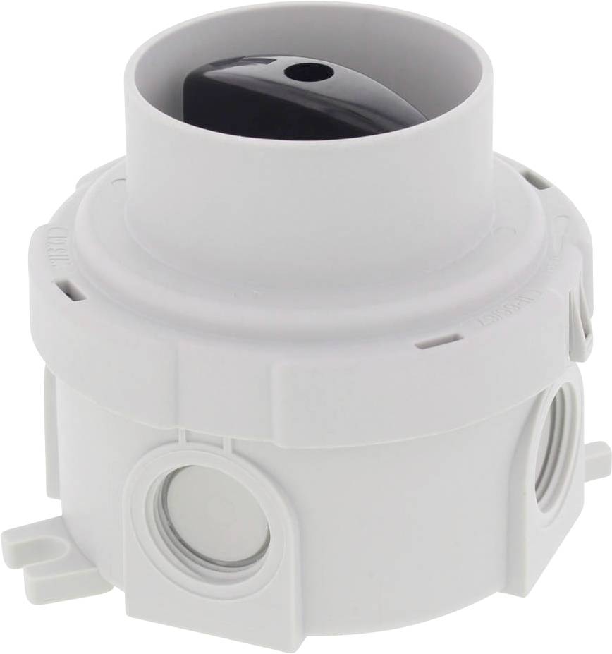 Wiska 2476884 obrtni prekidač 250 V