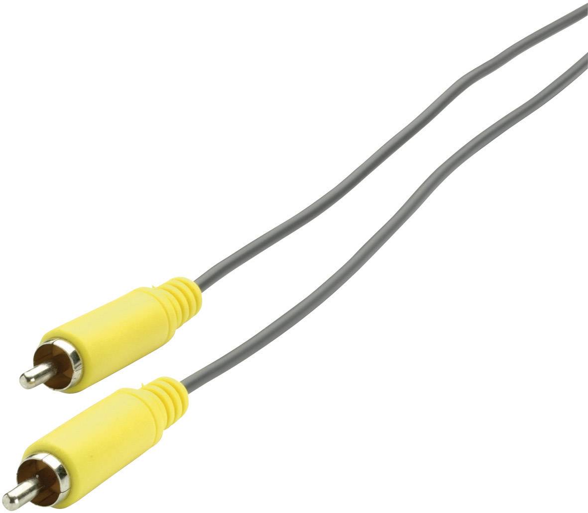 Priključni digitalni audio kabl 3,00 m žuta, siva muški RCA konektor