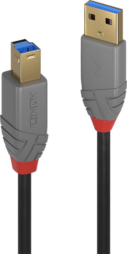 LINDY USB USB kabl 3,00 m crna