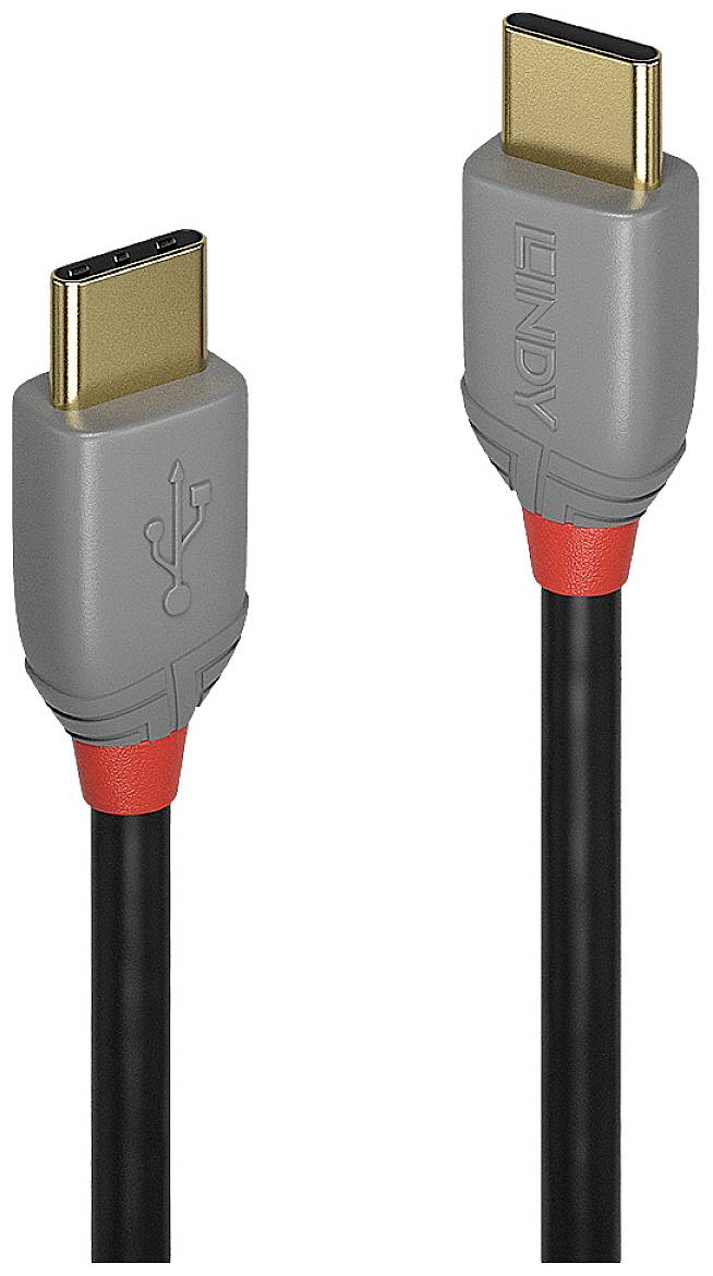 LINDY USB USB kabl 1,00 m crna, siva