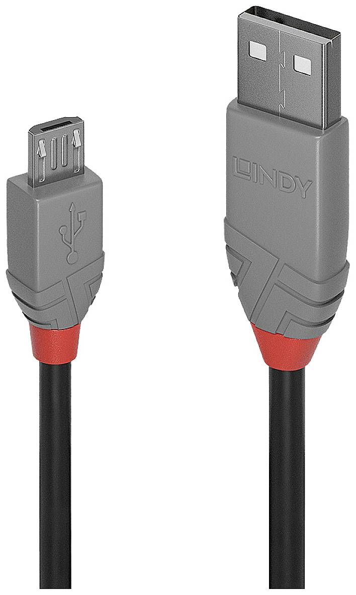 LINDY USB USB kabl 0,20 m crna, siva USB 2.0