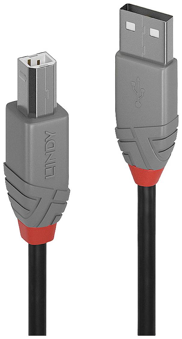 LINDY USB USB kabl 0,20 m crna, siva USB 2.0 2534819