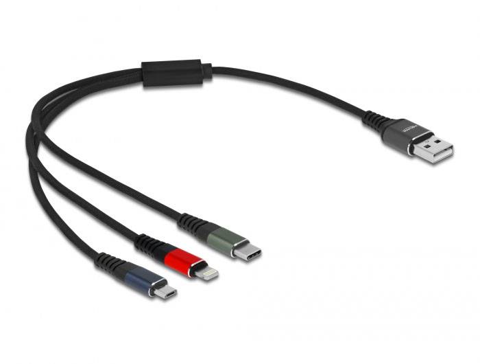 Delock USB USB kabl 0,30 m crna 3379168