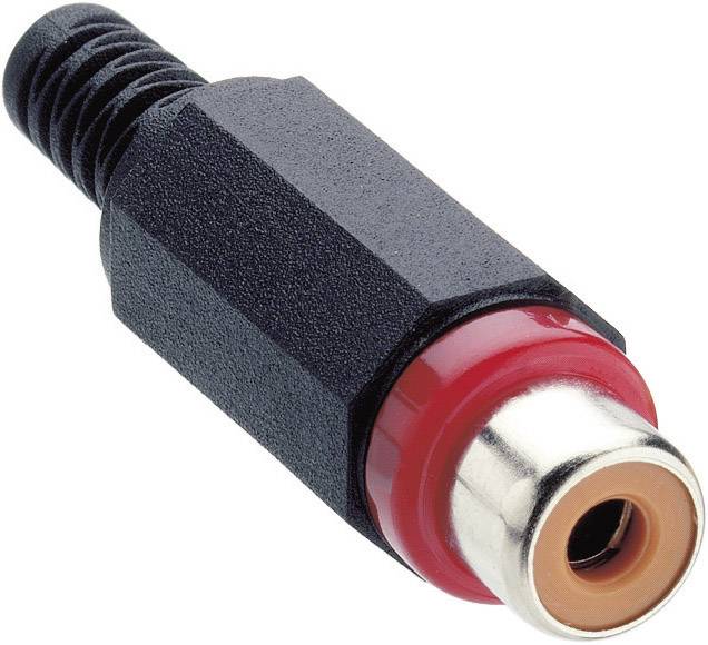 Lumberg XKTO RCA konektor 34 V DC/AC crvena 2