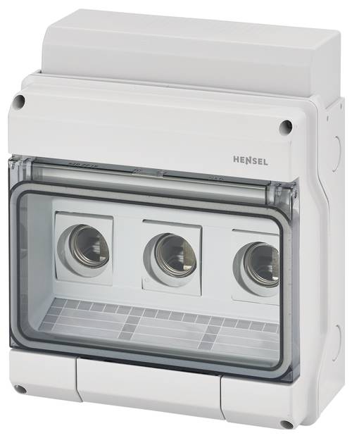 Hensel 6100059