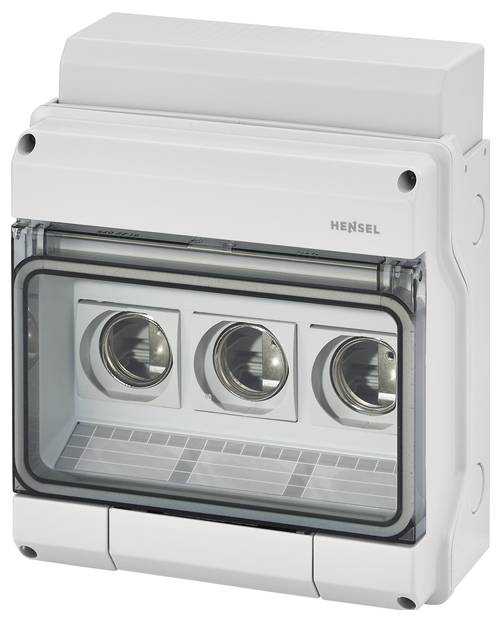 Hensel 6100061