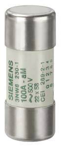 Siemens 3NW82201 50 A 500 V 22x58 mm