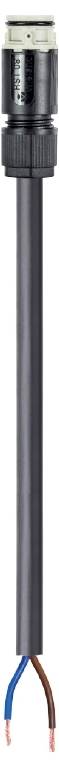 Wieland Electric 41.427.3037.8 prikljucni kabl crna