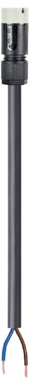 Wieland Electric 4L.427.4038.8 priključni kabl 50 V, 6 A crna