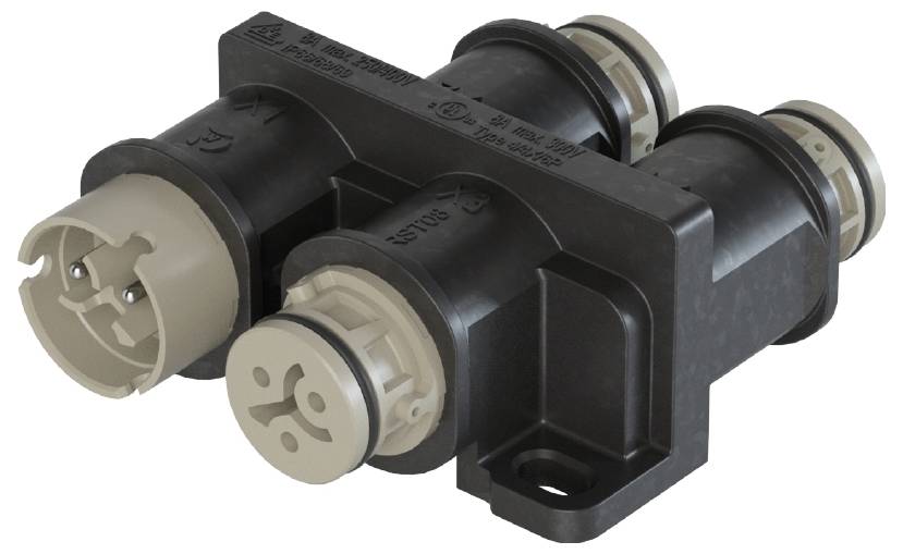 Wieland Electric 4L.020.0241.8 razdelnik (razvodnik) 50 V, 8 A