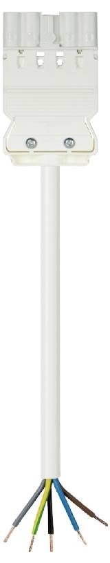 Wieland Electric 92.258.3004.2 priključni kabl 250 V, 20 A bela
