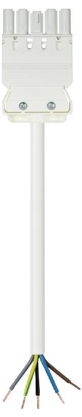 Wieland Electric 92.257.2003.2 priključni kabl 250 V, 16 A bela