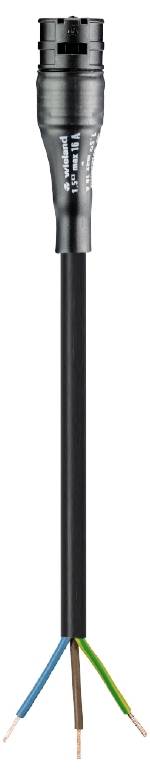 Wieland Electric 96.231.1033.1 priključni kabl 250 V, 10 A crna