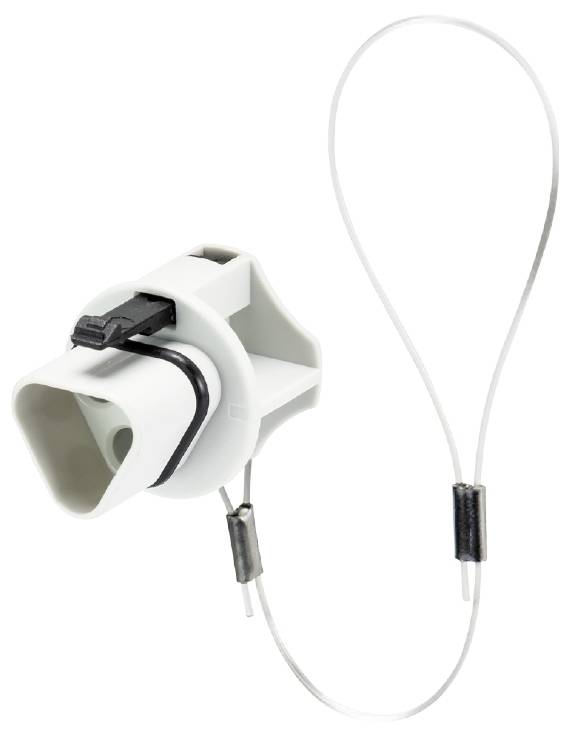 Wieland Electric 99.413.6205.2 zatvarac za uticnice