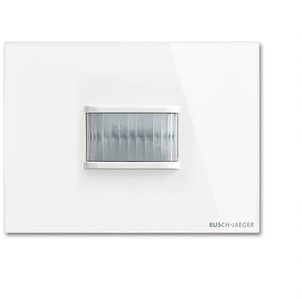 Busch-Jaeger 2CKA006300A1629