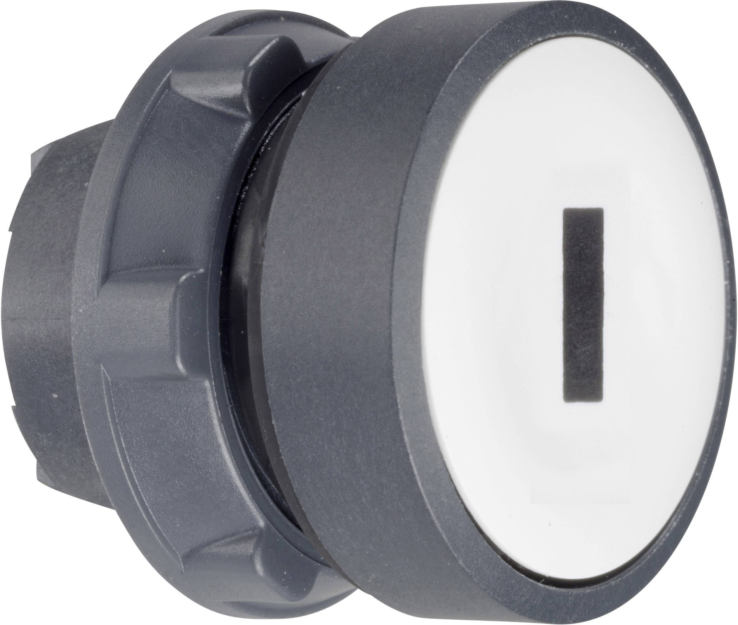 Schneider Electric ZB5AW31 osvetljeni taster - prednji element IP66, IP67, IP69, IP69K (u ugrađenom stanju)