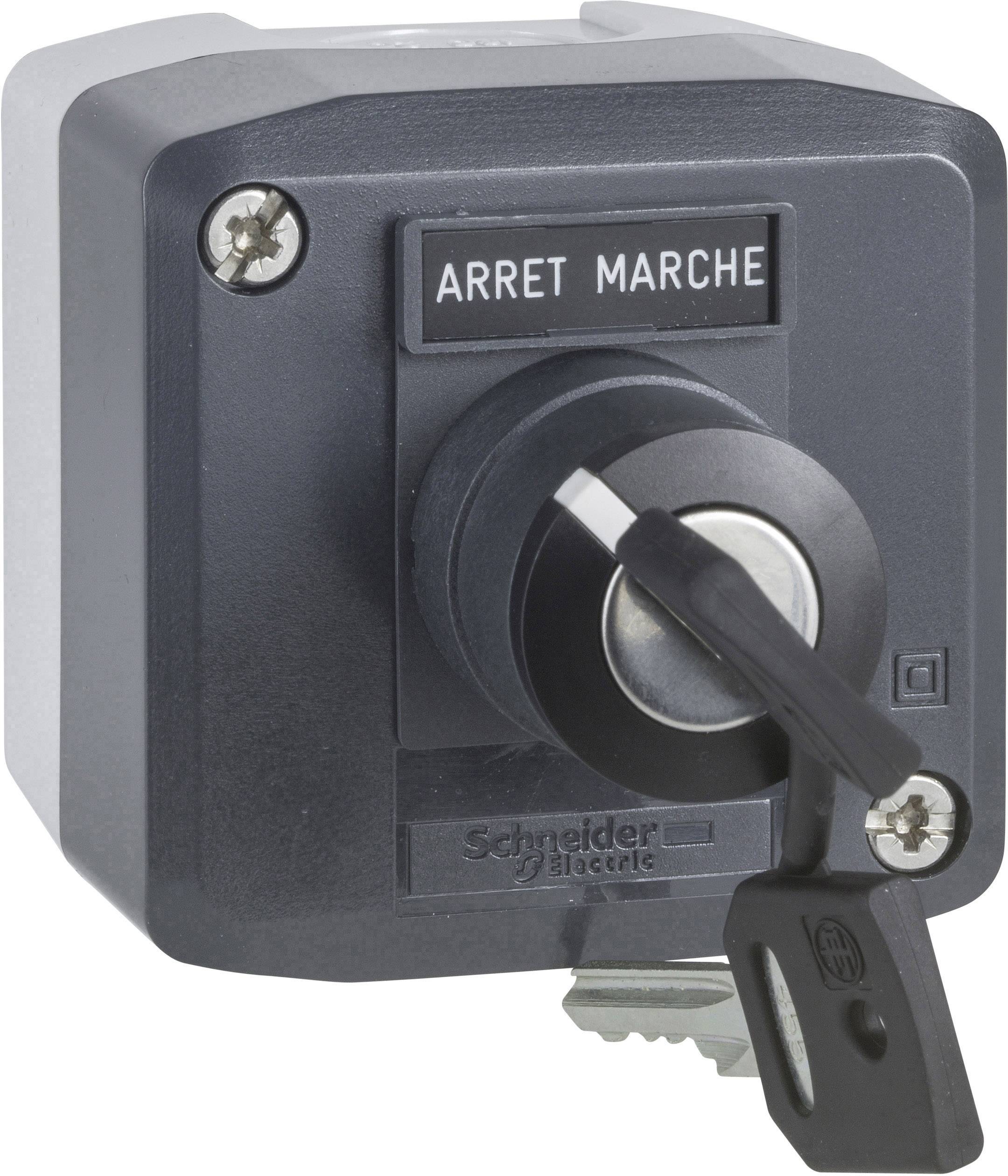 Schneider Electric XALD142 1 kom