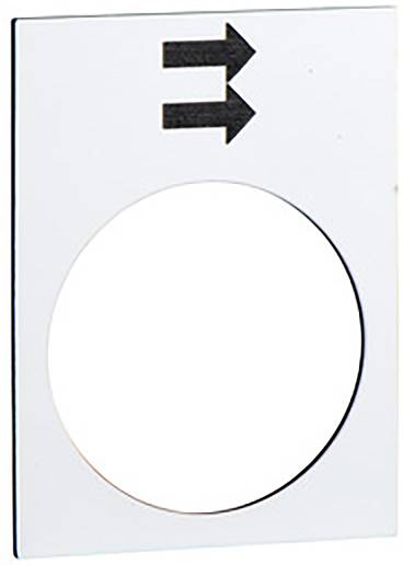 Schneider ZB2BY4902 bela 30x40mm 40 mm 10 kom