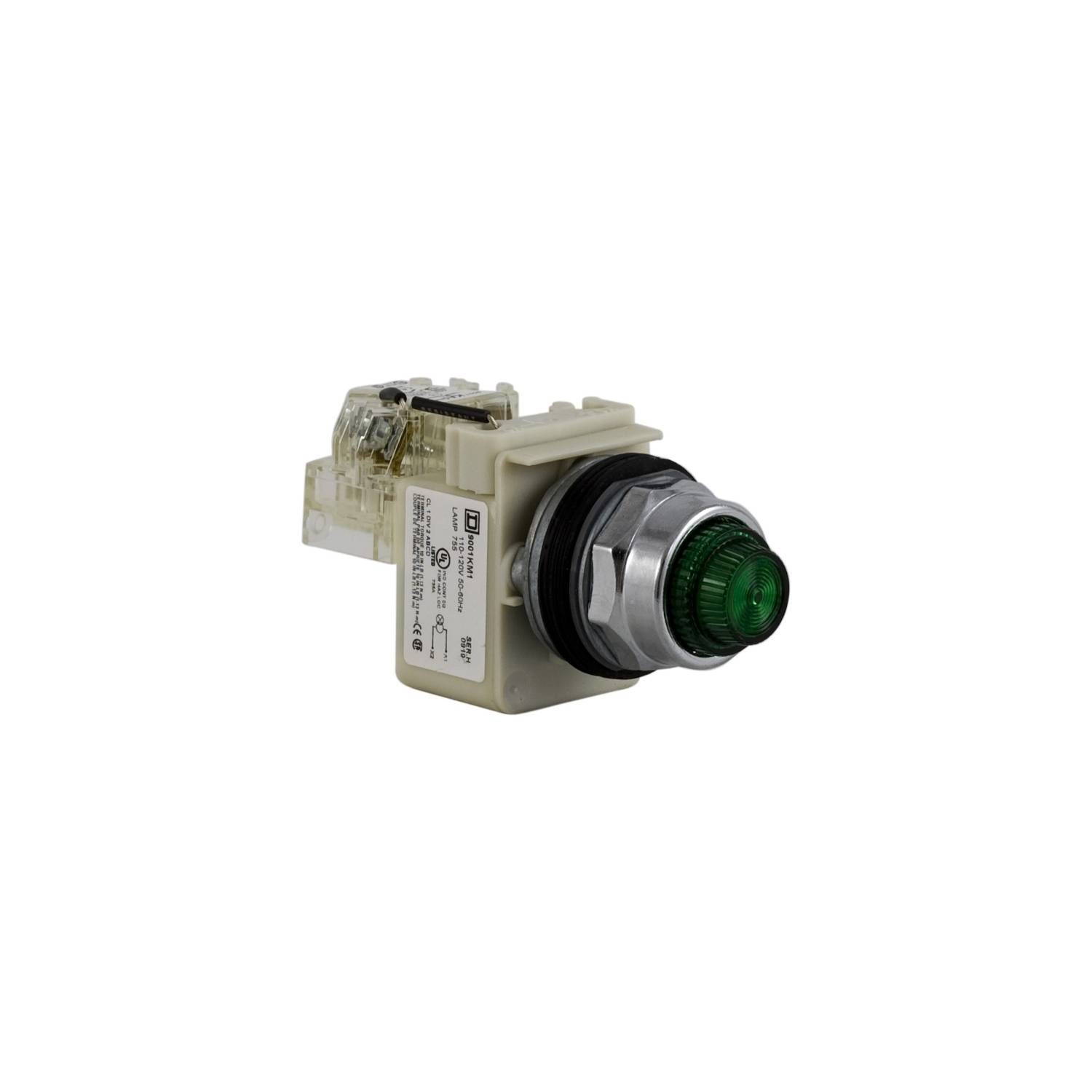Schneider Electric zelena 120V 60Hz 1 kom AC