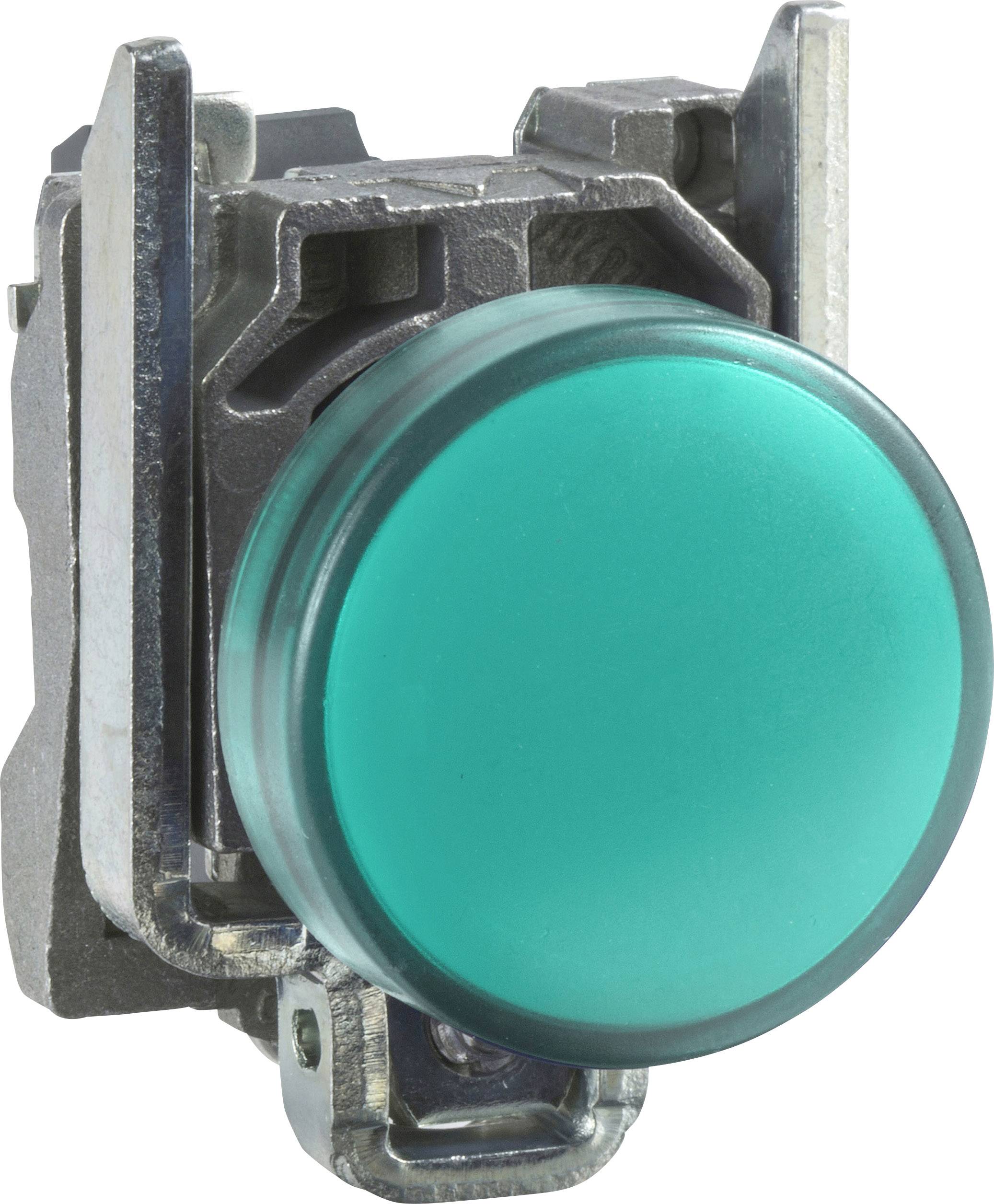Schneider XB4BVB3 zelena 24 V/DC 24 V/AC 1 kom DC AC
