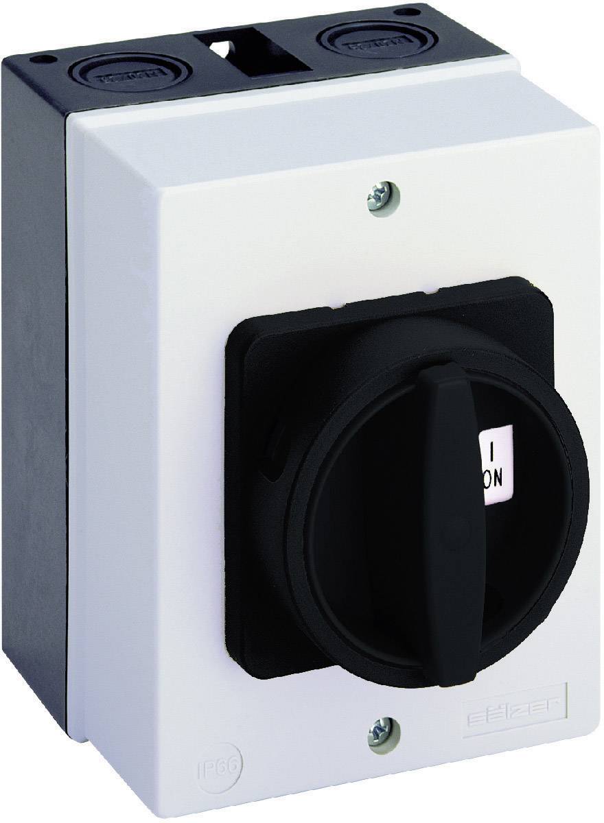 Salzer D222-83200-700N1 32 A 650 V IP66