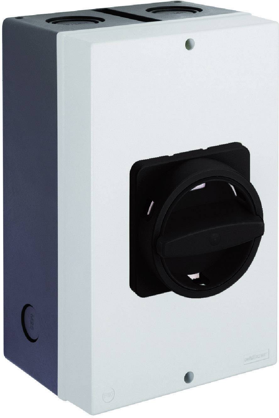 Salzer D242-84200-761N1 20 A 1000 V IP66