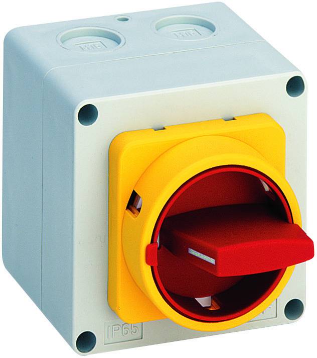 Salzer M220-61199-117M4 20 A IP65