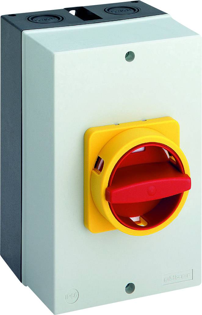 Salzer B263-41300-710N4 3-polni 63 A IP66